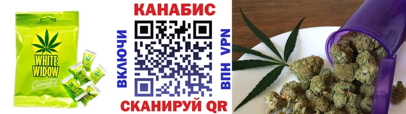 Купить  Киров  Canna-Cookies конопля 